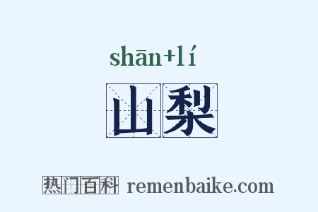 山梨是什么意思的图片